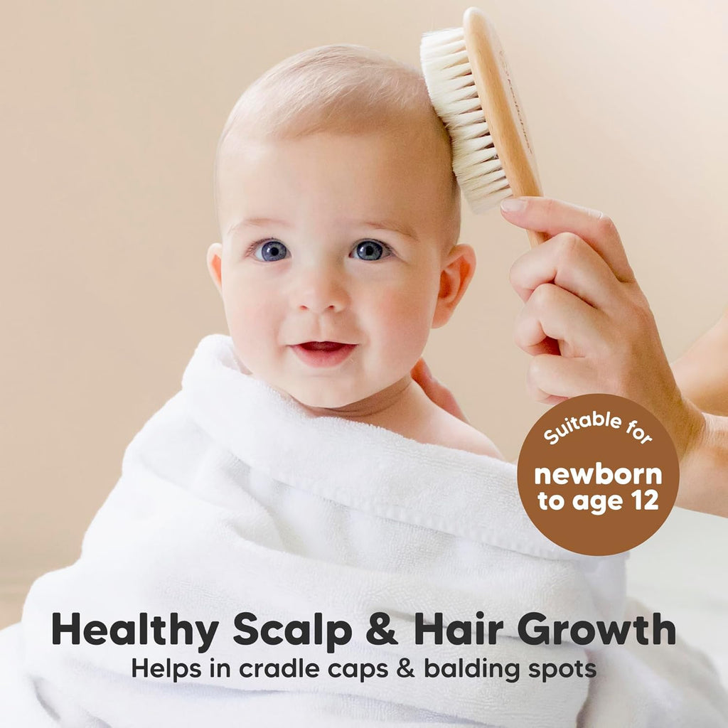 Wooden Baby Hair Brush Set for Newborns, Toddler Comb (Walnut, Regular)